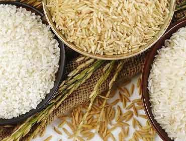 Export Of Premium Rice From India To Usa