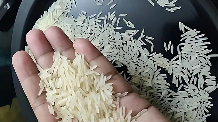 Everything You Need to Know About 1121 Basmati Rice