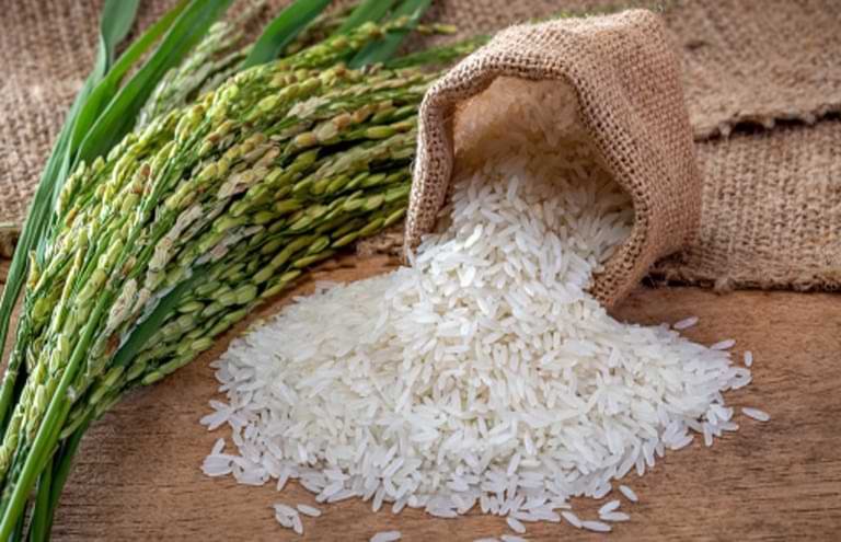 How to Choose the Right Basmati Rice Exporter in India: A Step by Step Guide