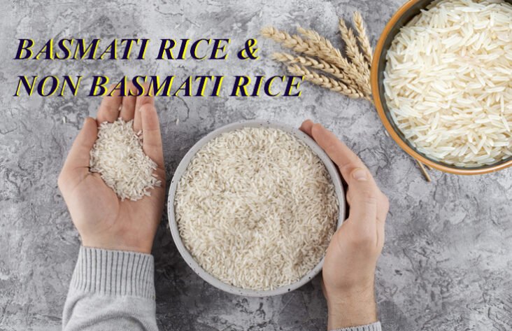 Which one is the better: some basic differences between basmati and non basmati rice