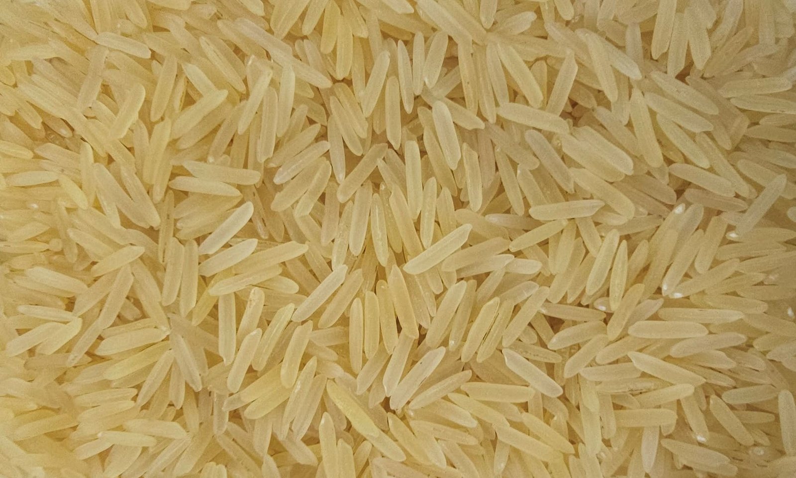 1509 Golden Sella Basmati Rice