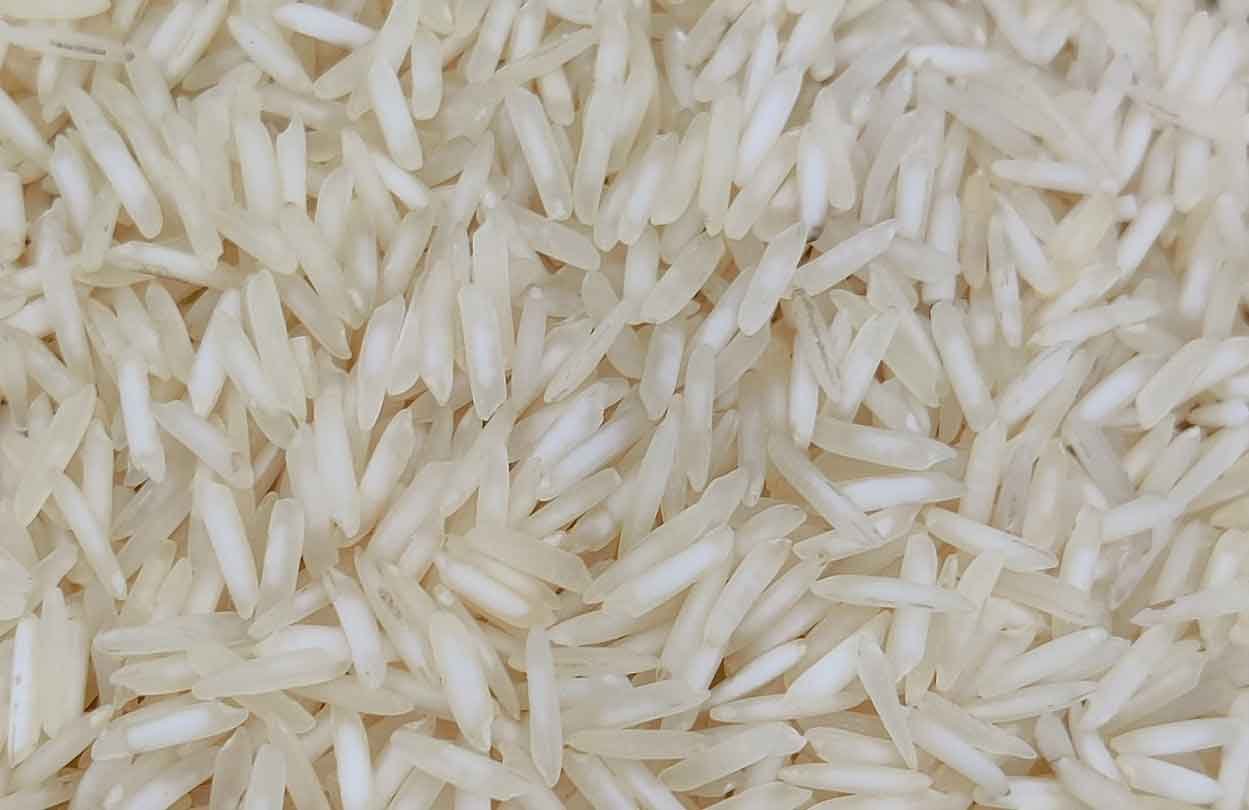 1509 Raw Basmati Rice