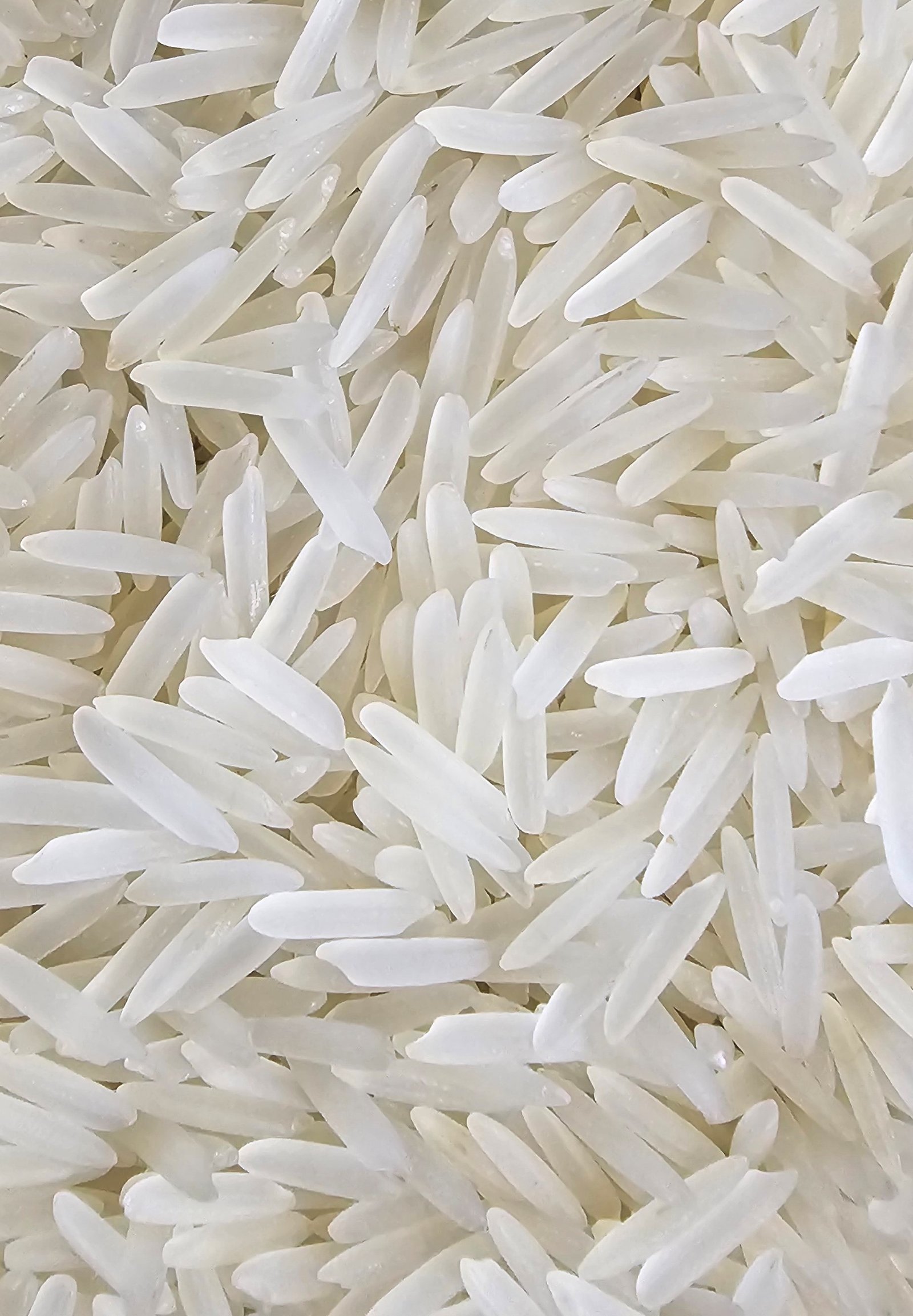 1718 Raw Basmati Rice