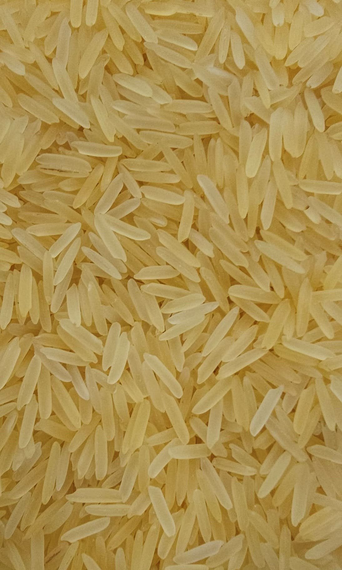 Sharbati Golden Sella Rice