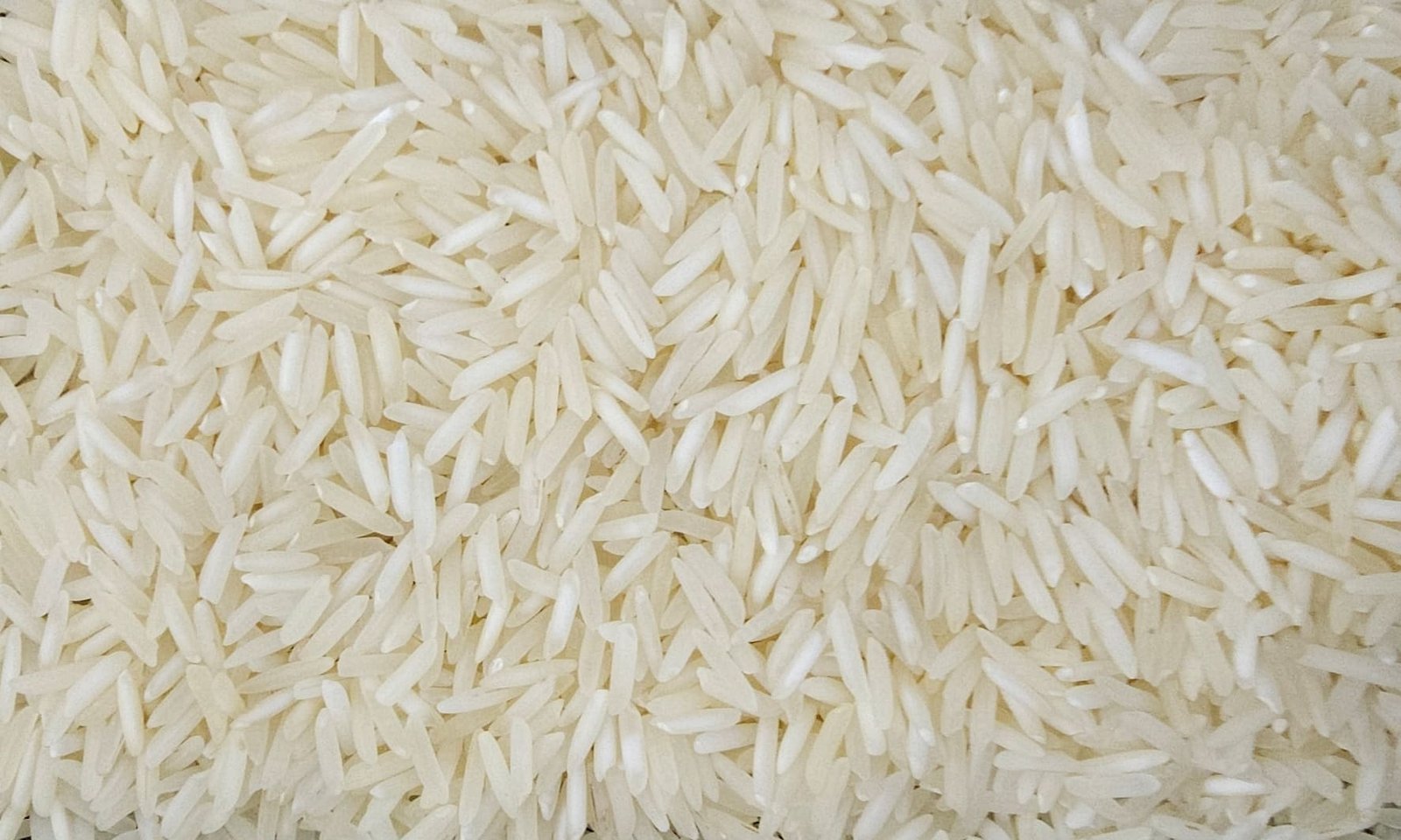 Sharbati Raw Rice