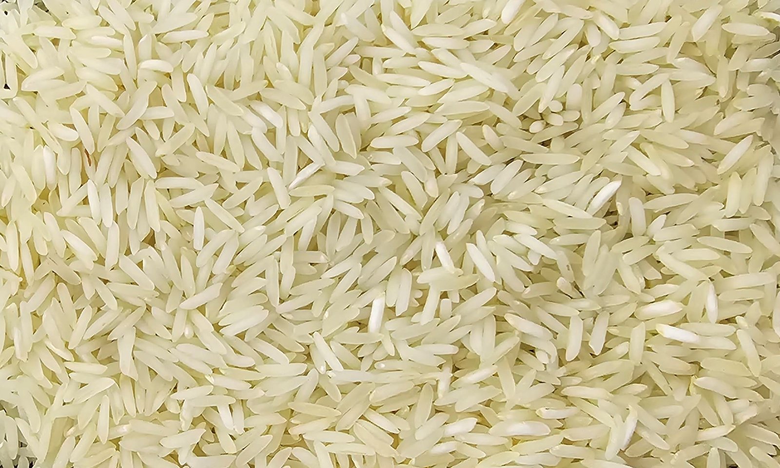 Sharbati Steam Rice