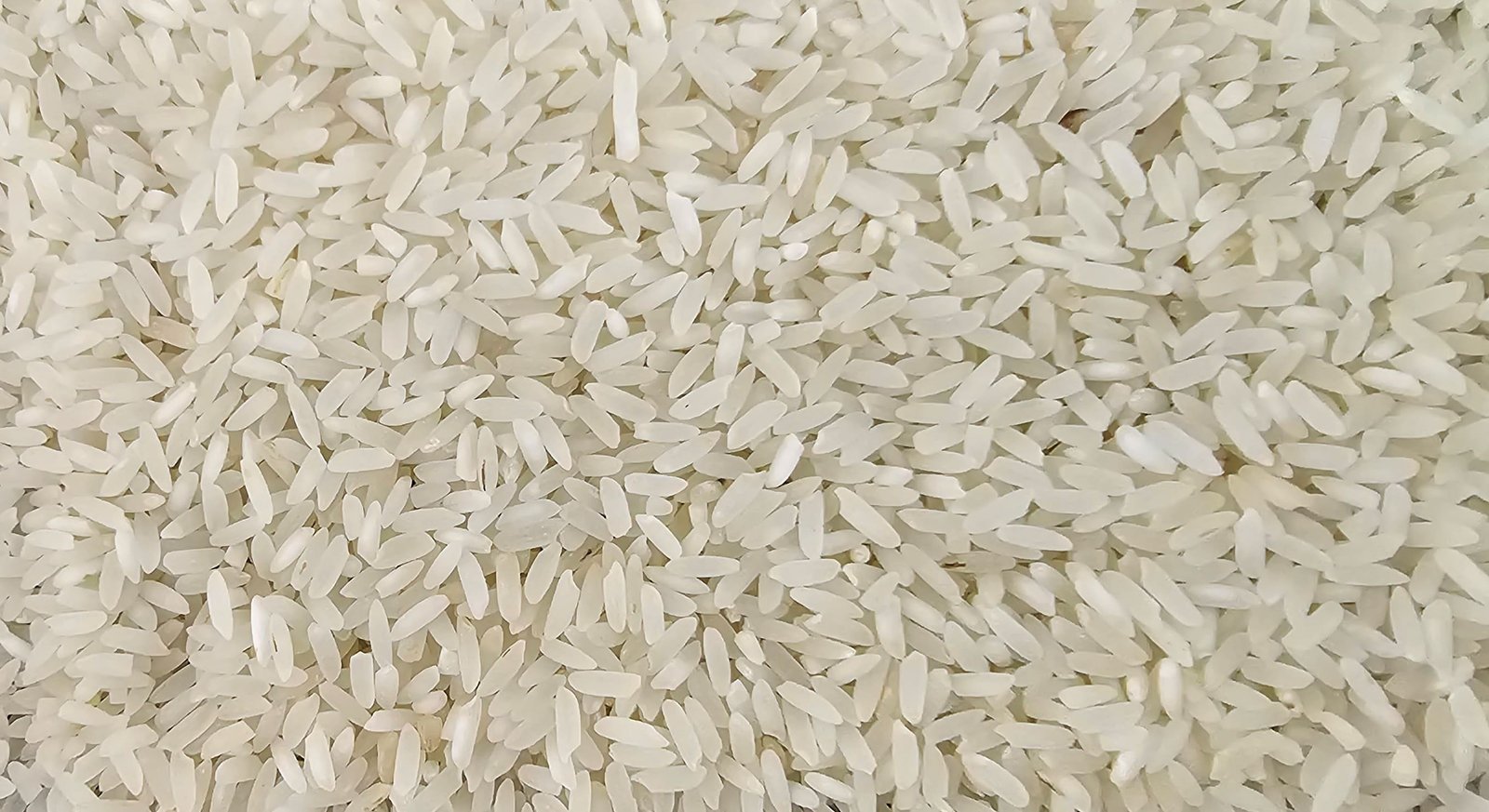 Sona Masoori Raw Rice