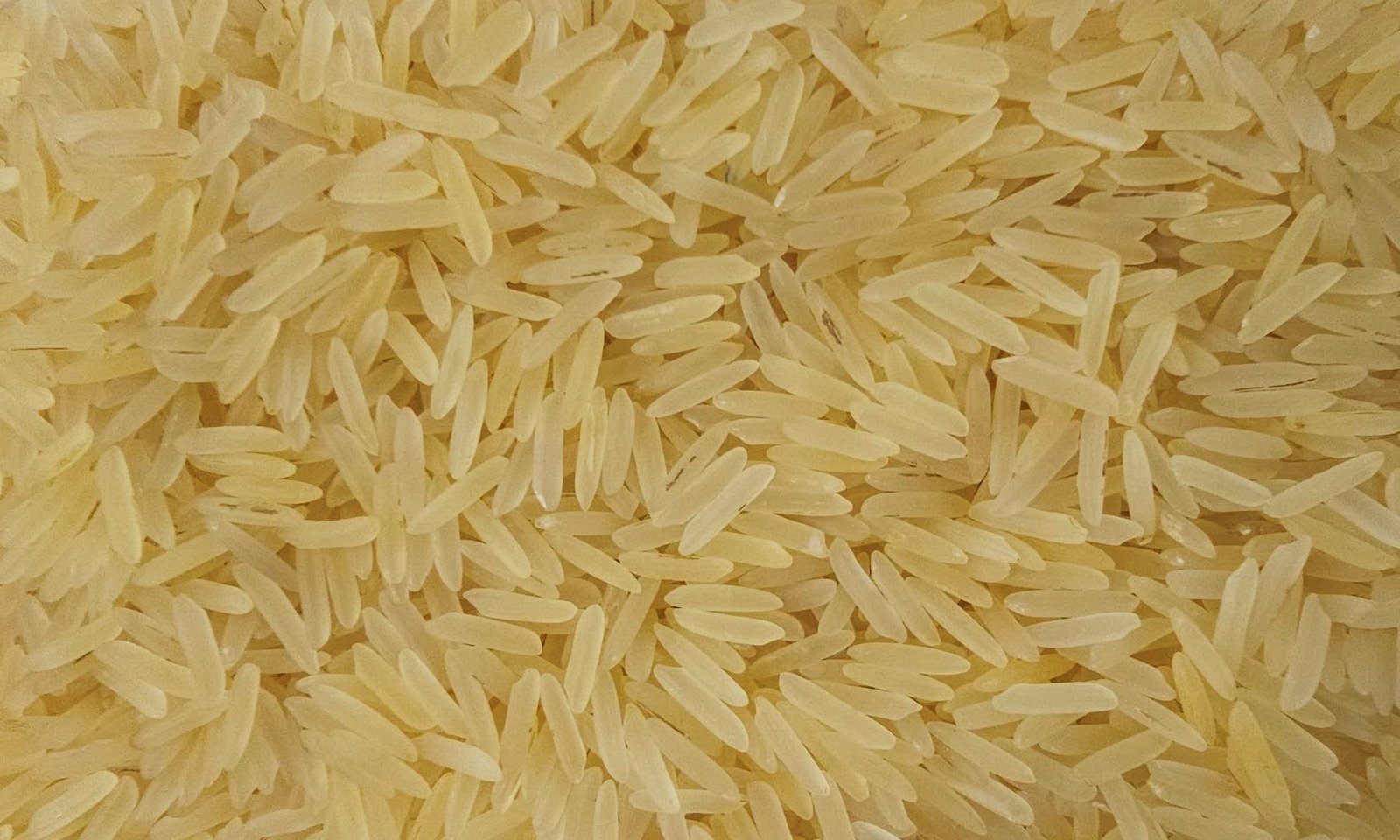 Sugandha Pesticide Residue Free Golden Sella Rice